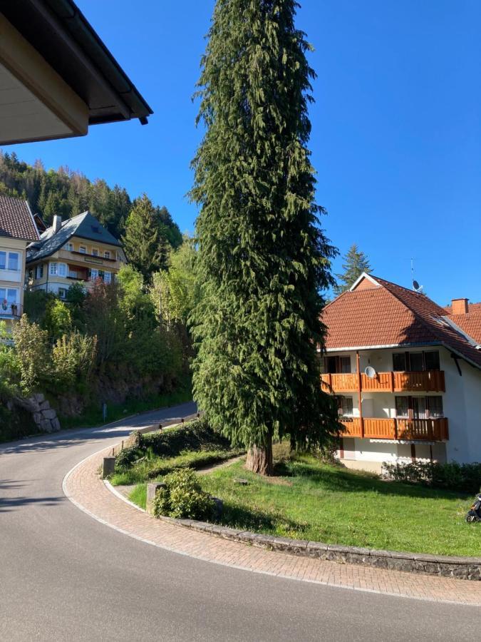 Ferienwohnung Haus Sonne Todtmoos Exterior foto
